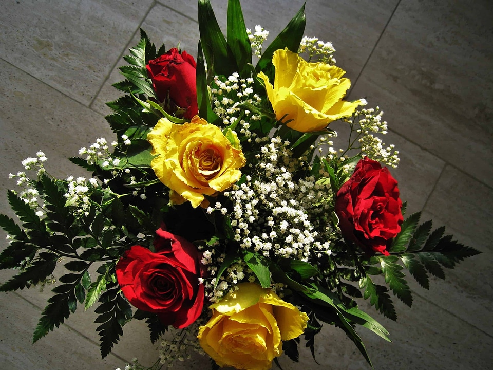 Arrangement beautiful flowers beautiful photo