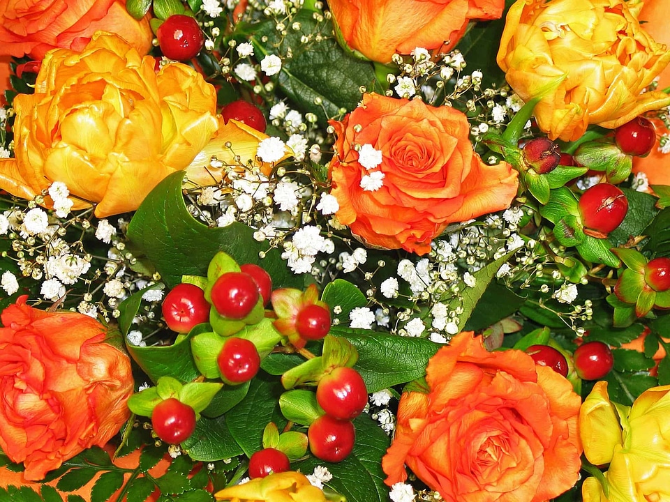 Arrangement beautiful flowers biology
