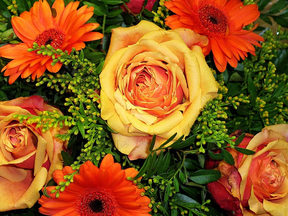 Arrangement beautiful flowers biology