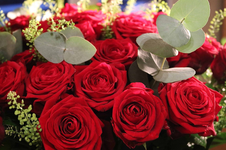 Arrangement beautiful flowers biology