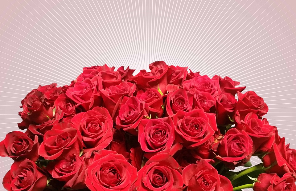 Arrangement beautiful flowers beautiful photo