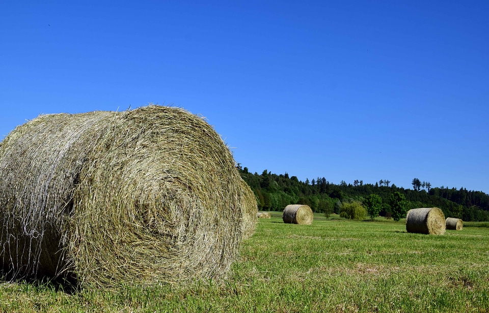 Agriculture circle cloud