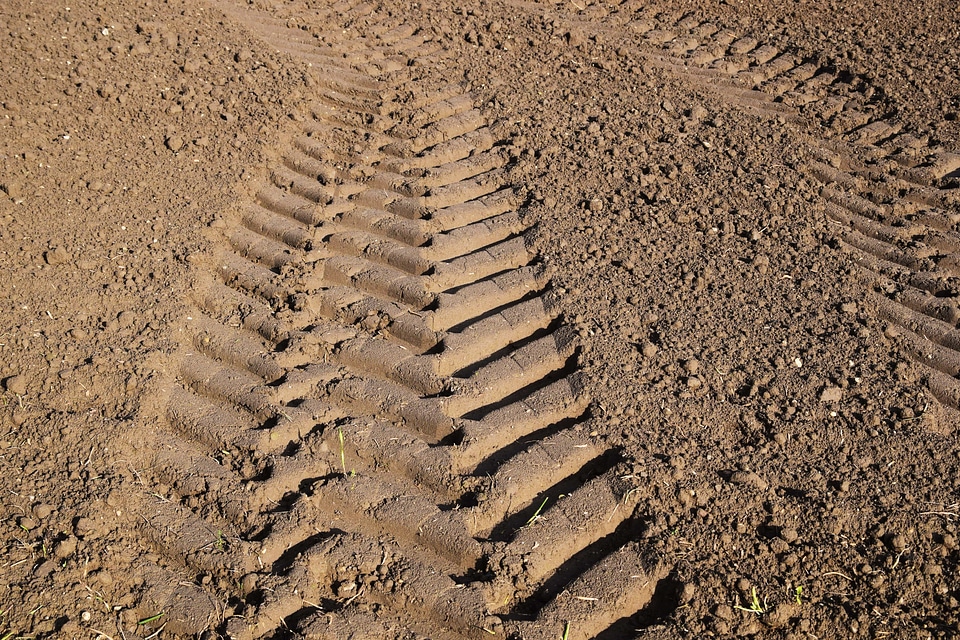 Brown field ground