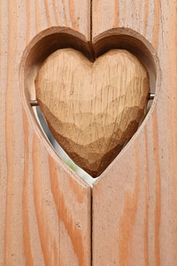 Brown decoration door
