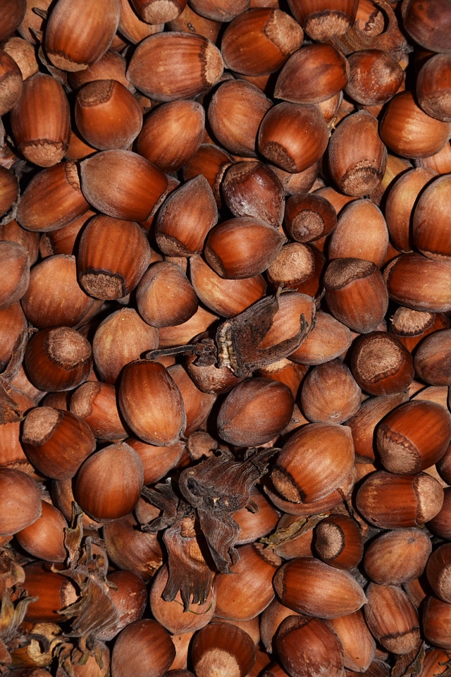 Brown diet food
