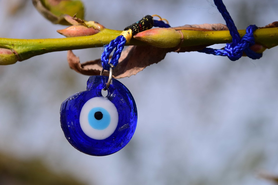 Blue branch landscape