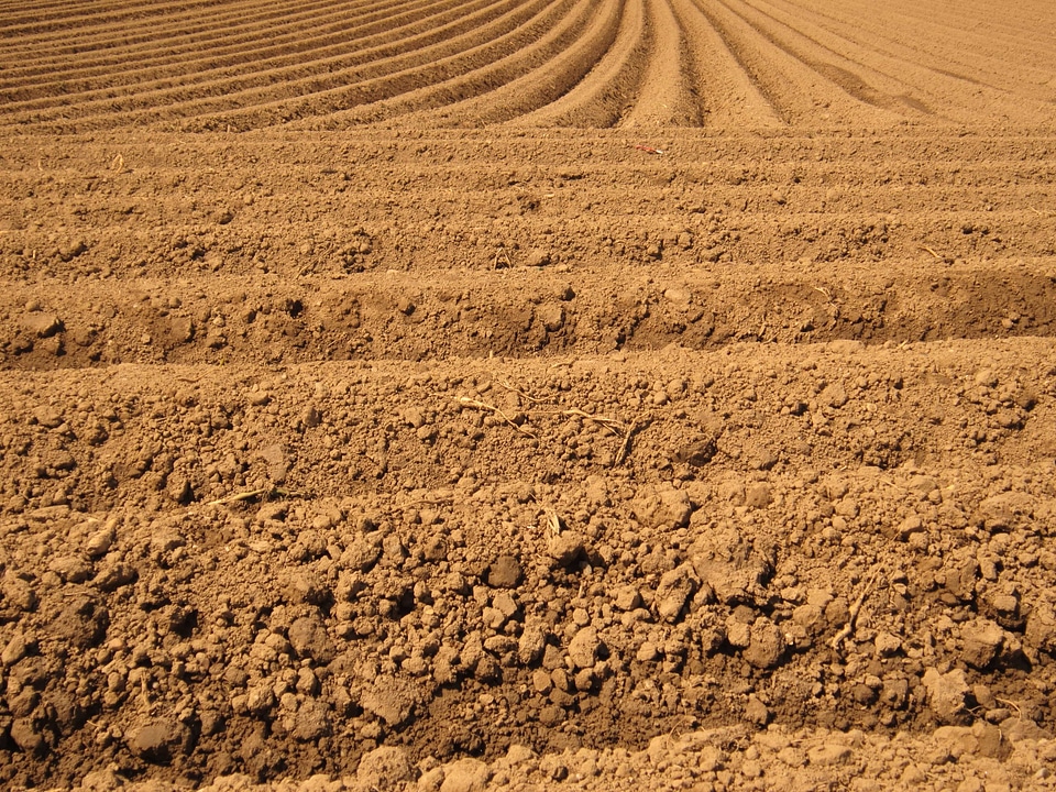 Agricultural agriculture brown