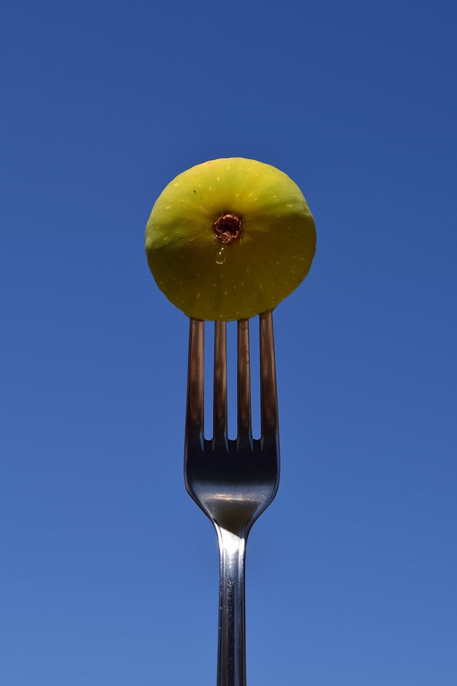 Blue Sky cutlery diet