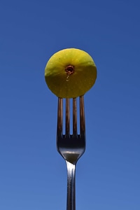 Blue Sky cutlery diet
