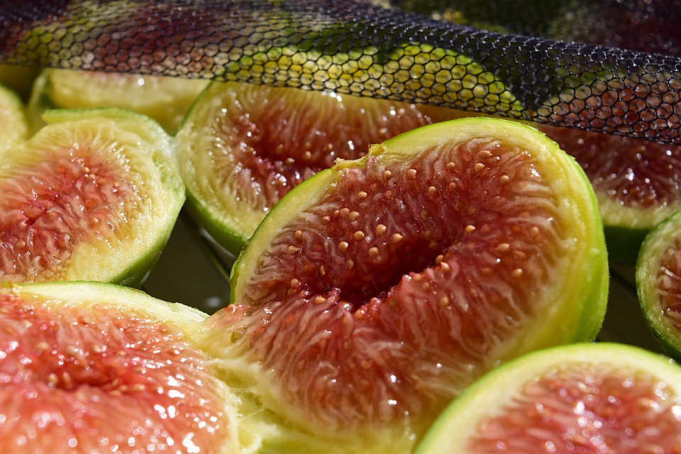 Delicious diet dietary