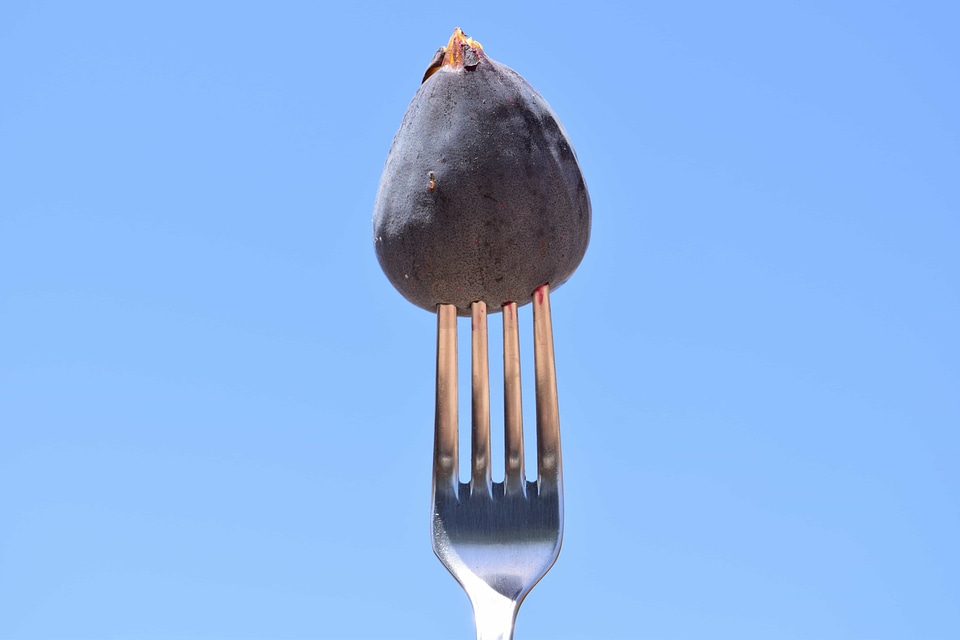 Delicious diet dietary