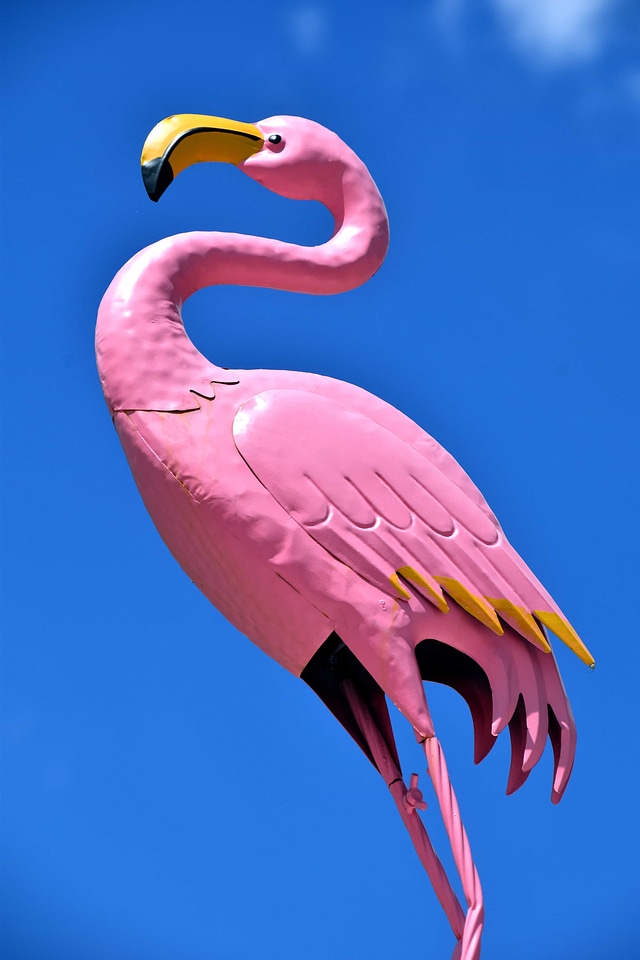 Animal art beak