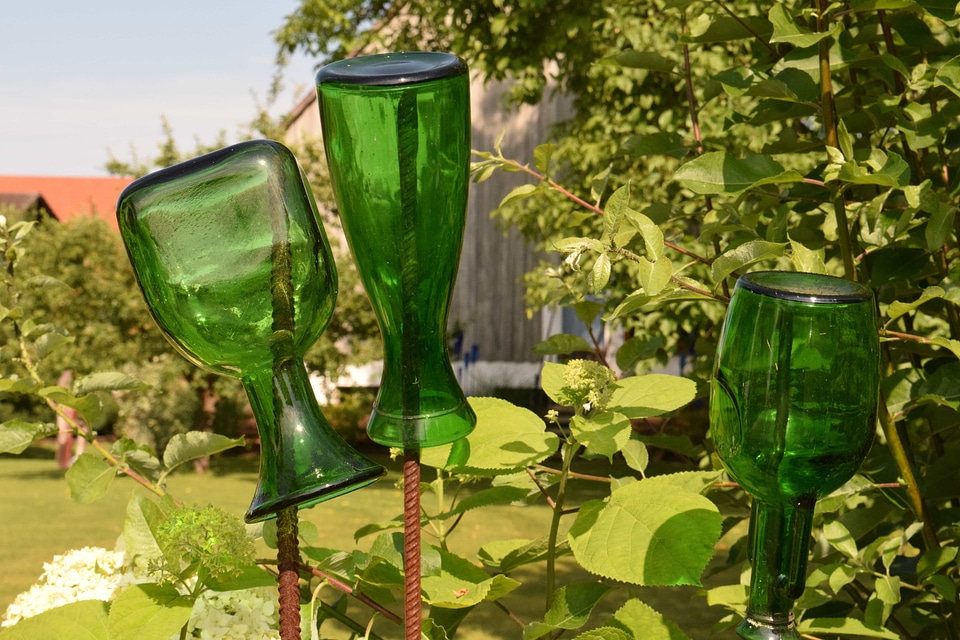 Backyard bottle dark green