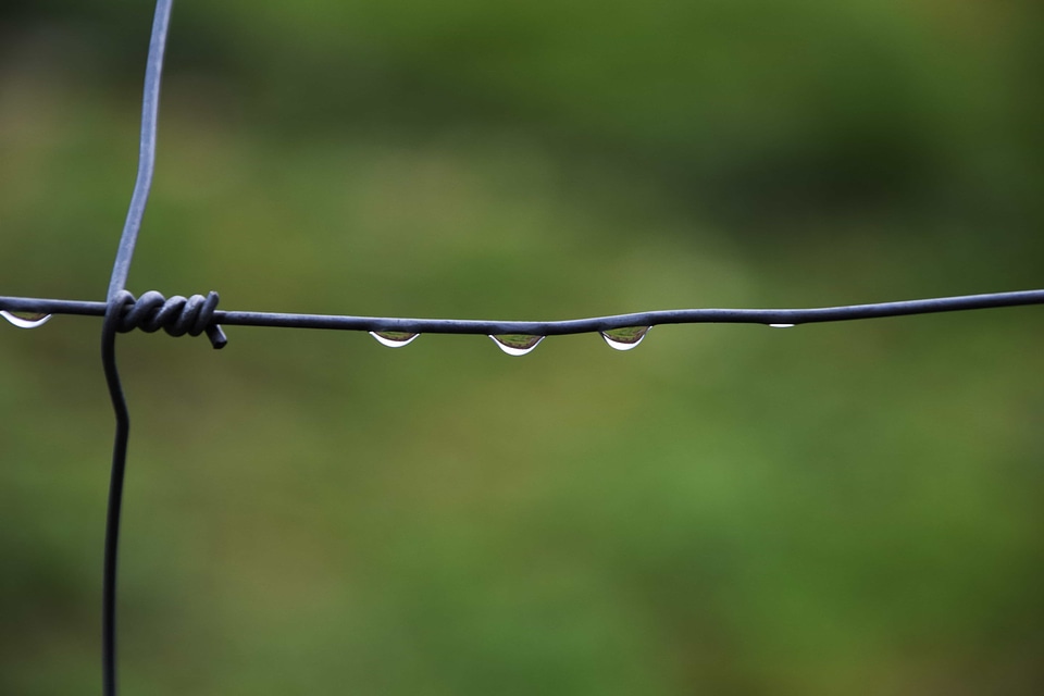 Barbed Wire drop fence