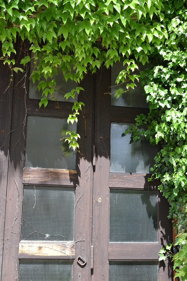 Architecture door fence