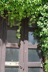 Architecture door fence