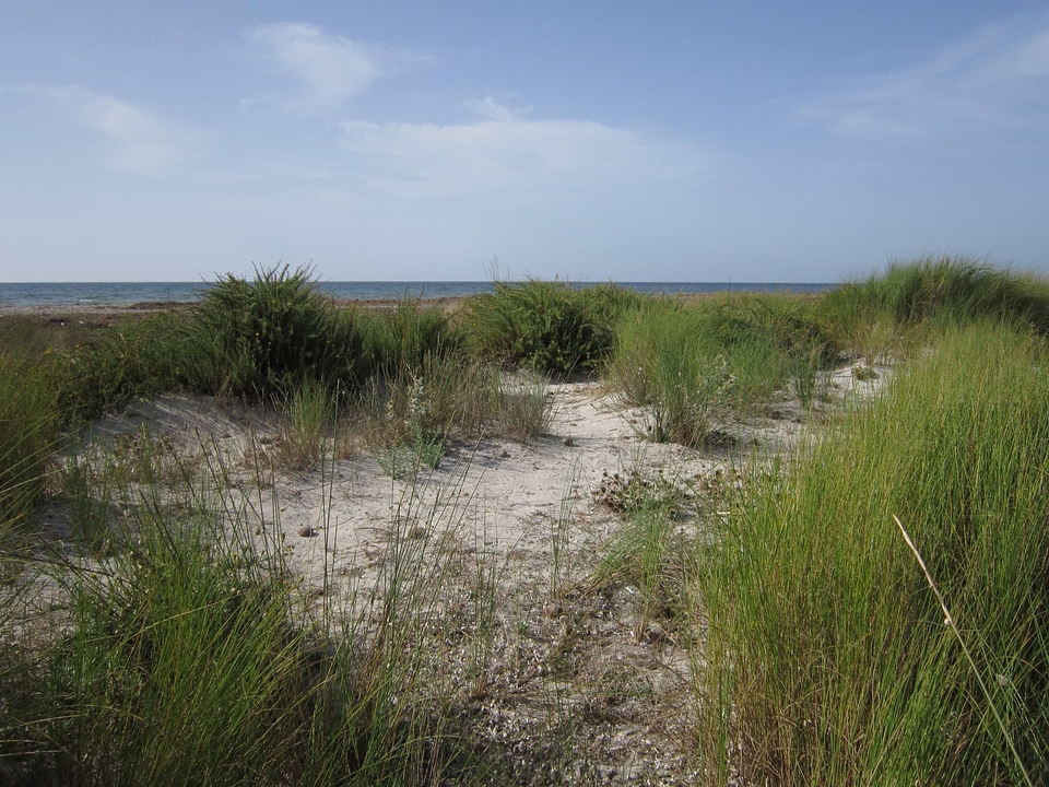 Beach coast coastline