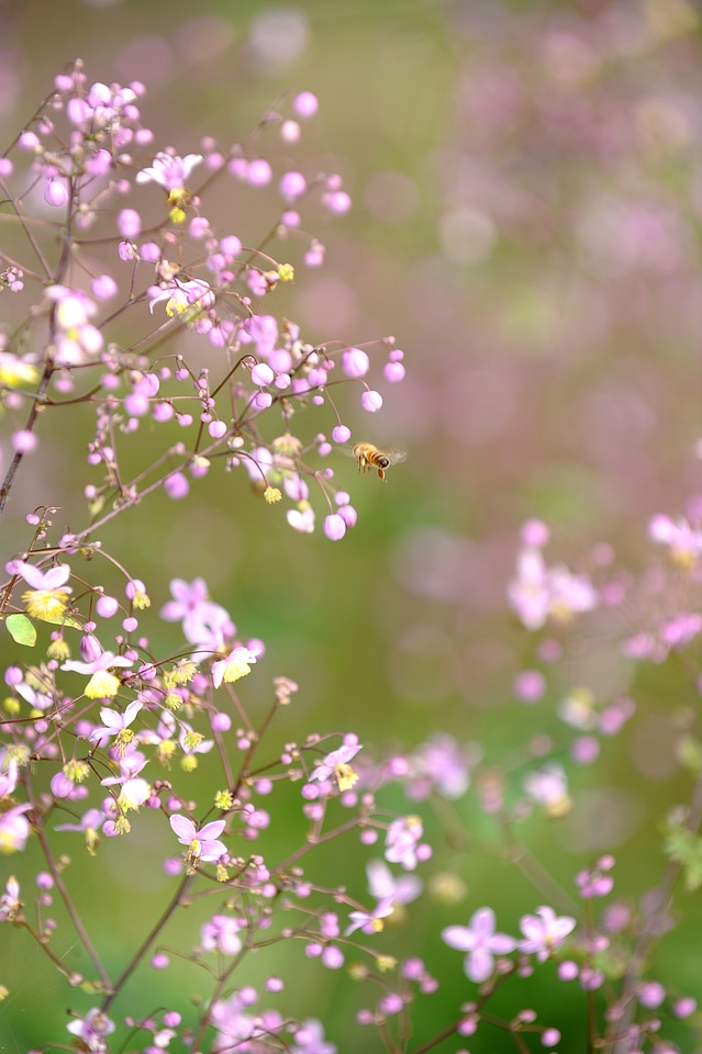 Joy the wait warmth
