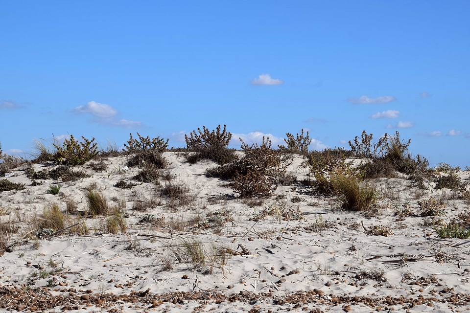 Daylight dry environment