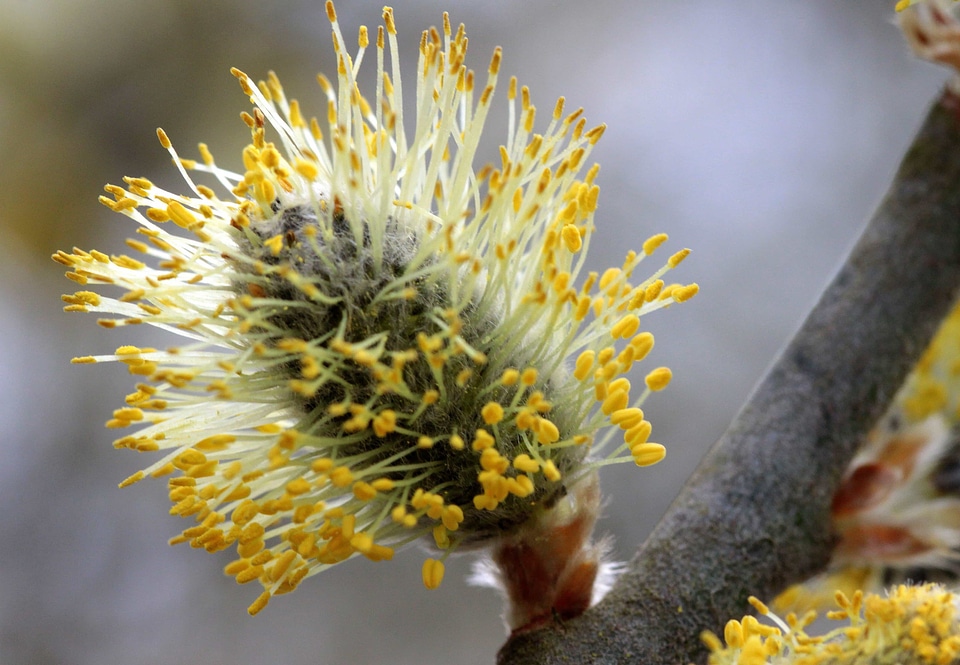 Beautiful beautiful photo biology