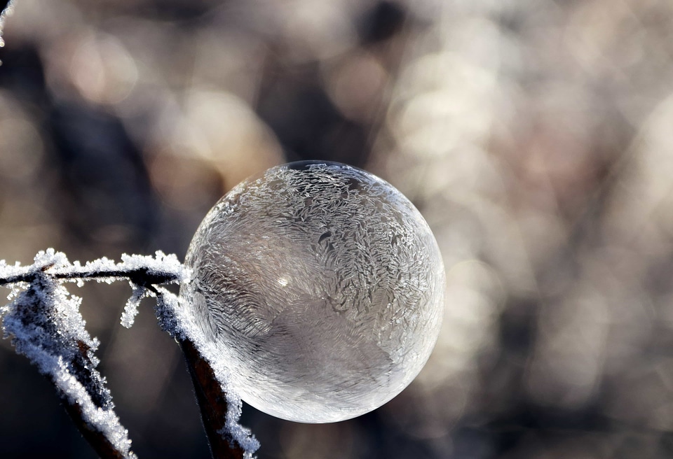 Detail frost ice