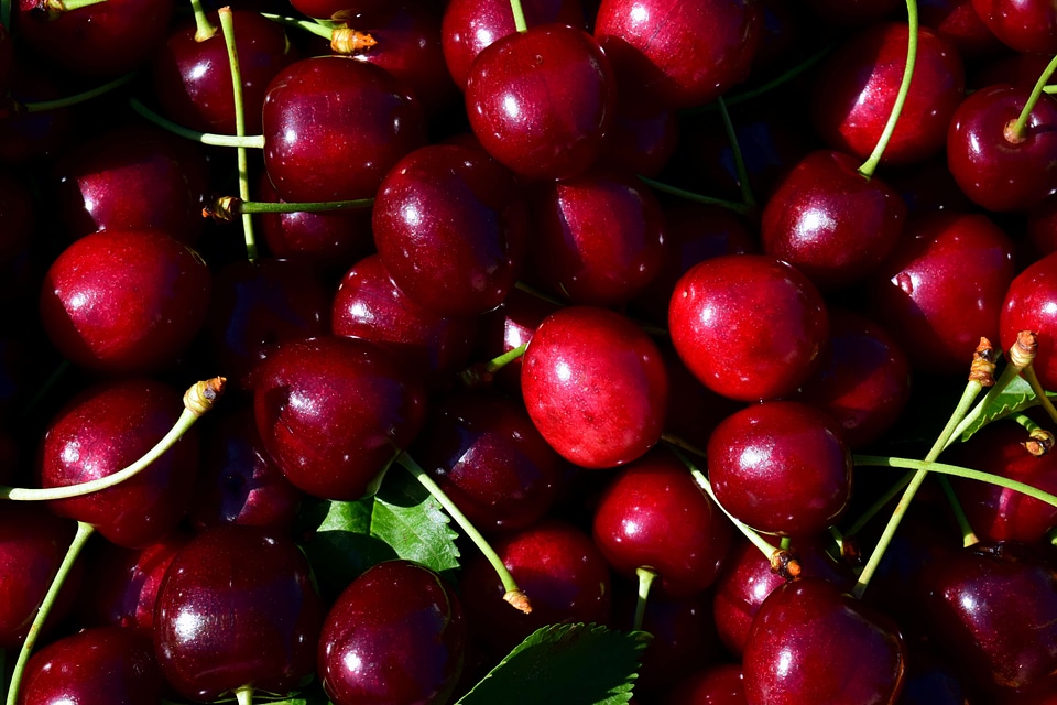 Calorie cherry delicious