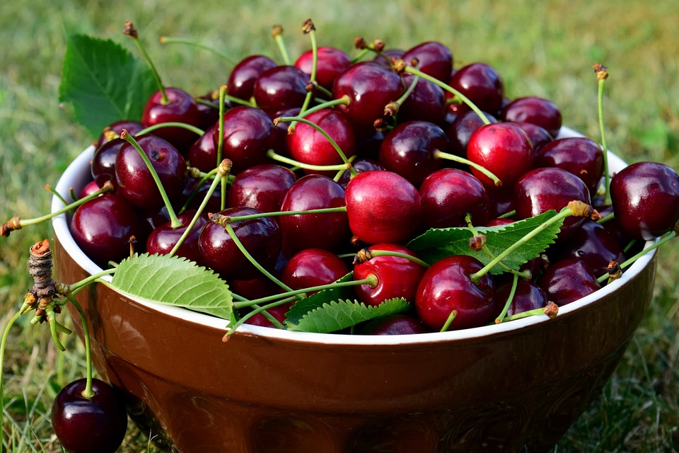 Beautiful Photo bowl cherry