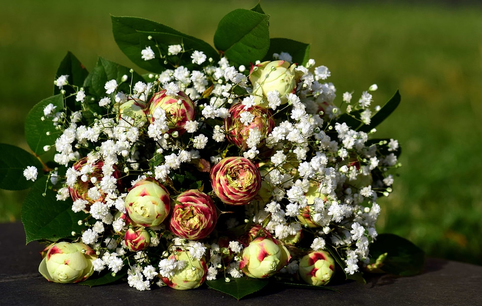 Arrangement beautiful flowers beautiful photo