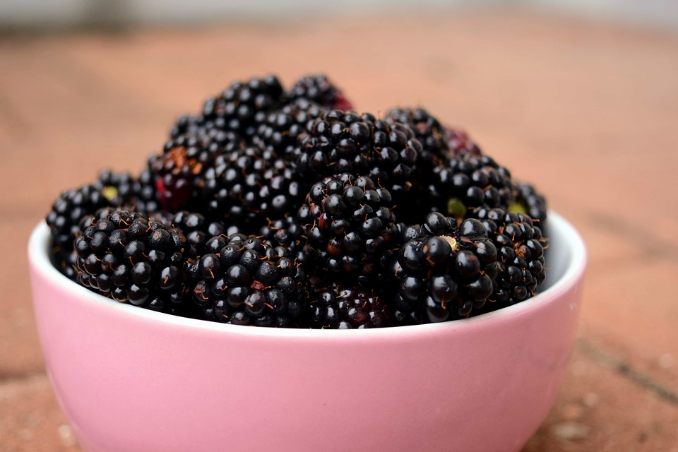 Berry blackberry blueberry