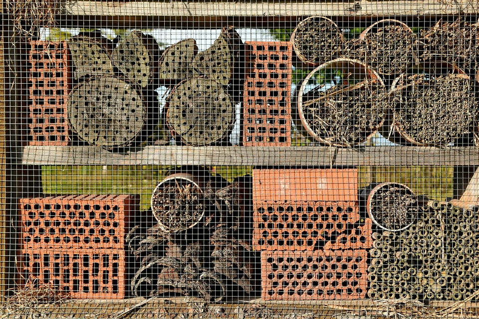 Brick cage daylight