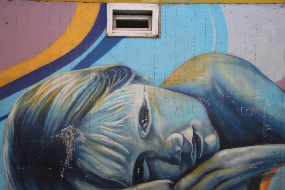 Hauswand art facade