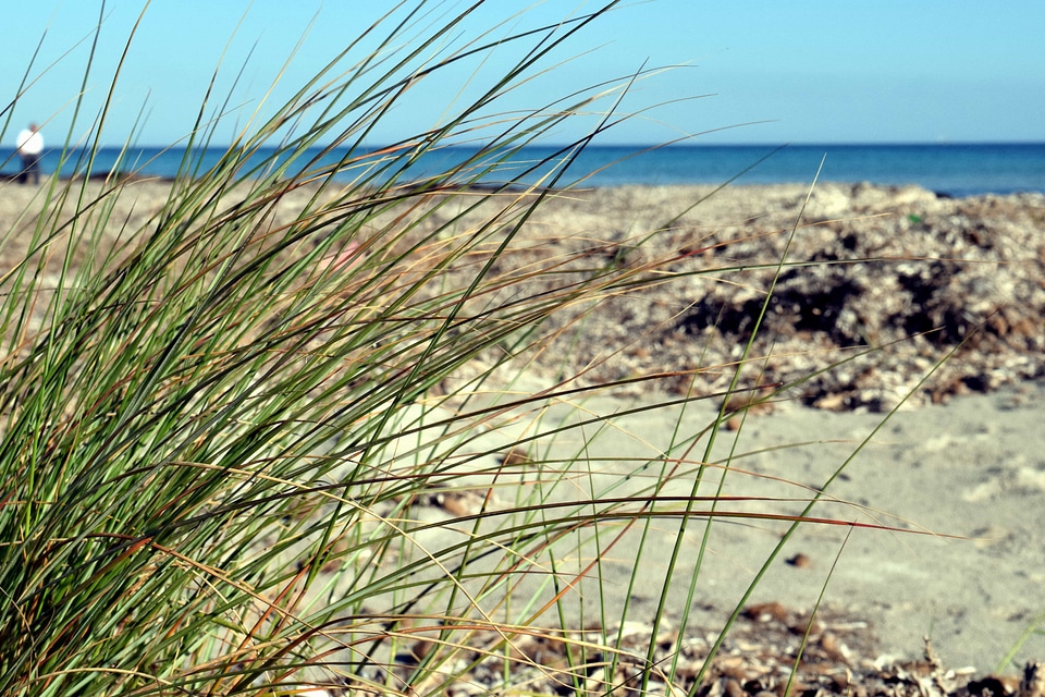 Beach coast coastline