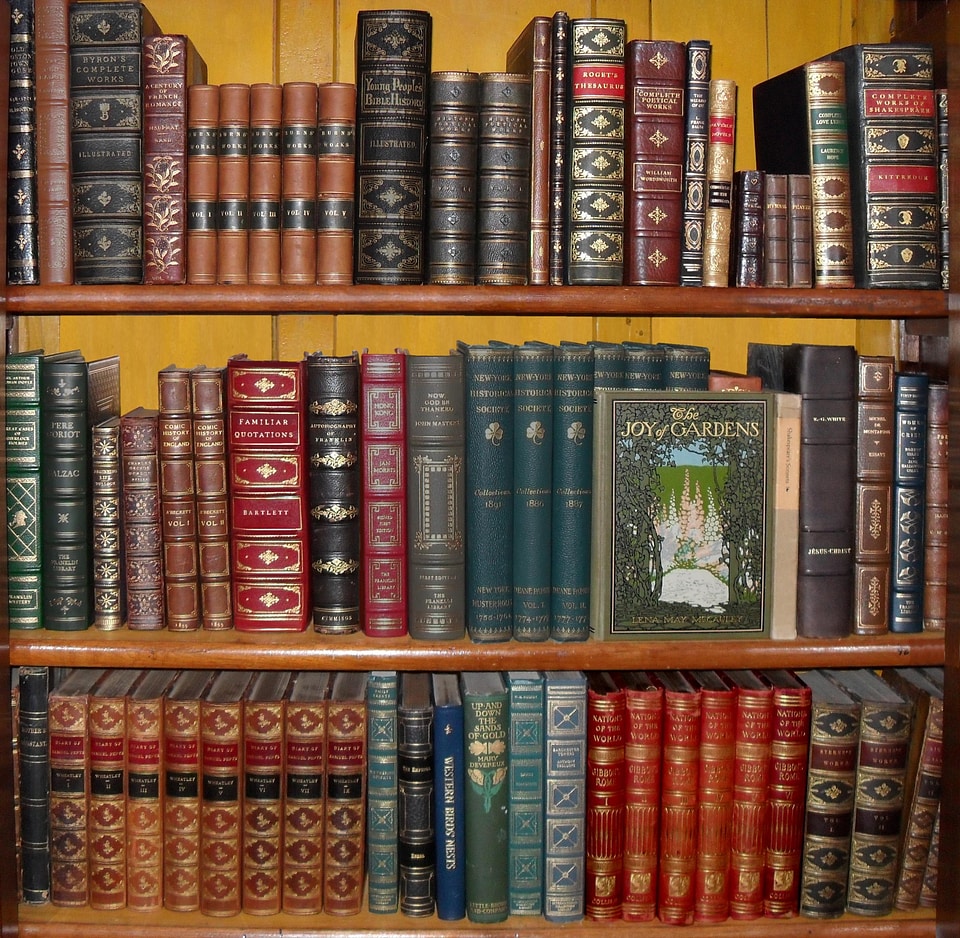 Bookshop vintage antique