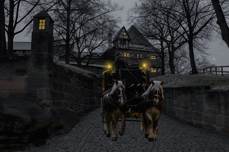 Assembly winter castle