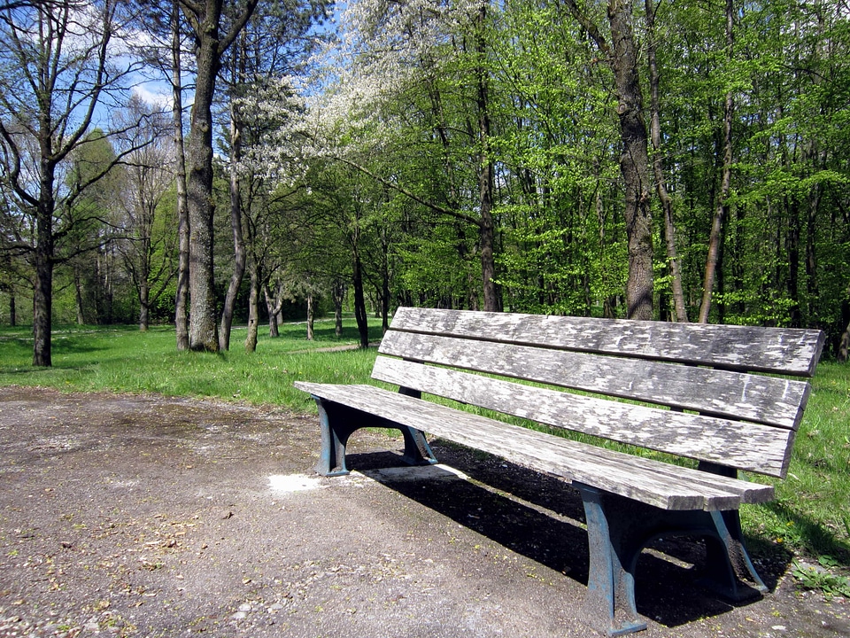 Bench daylight flora