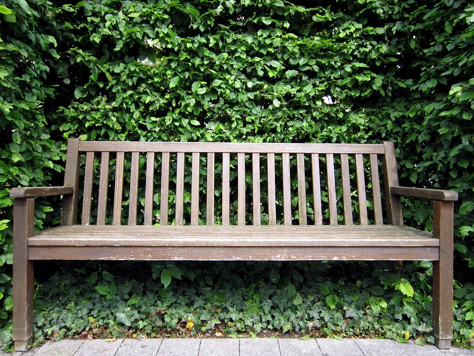 Bench daylight garden