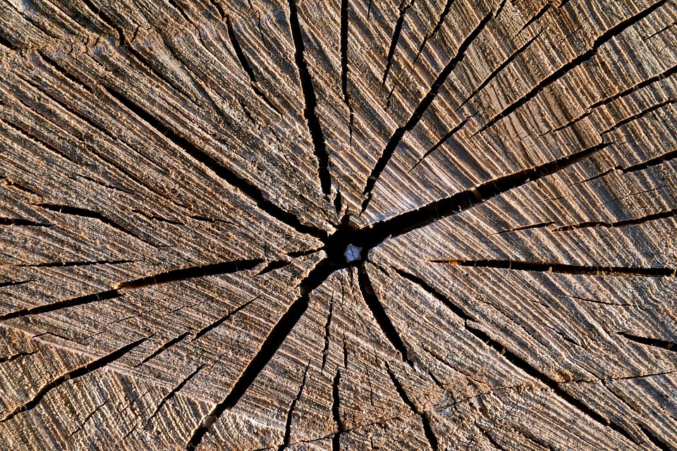 Brown detail fissure