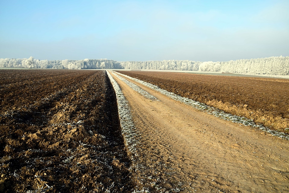 Agriculture landscape nature