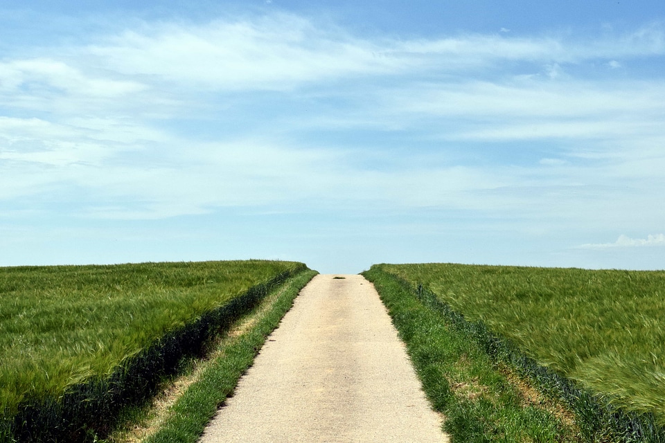 Agriculture blue sky countryside