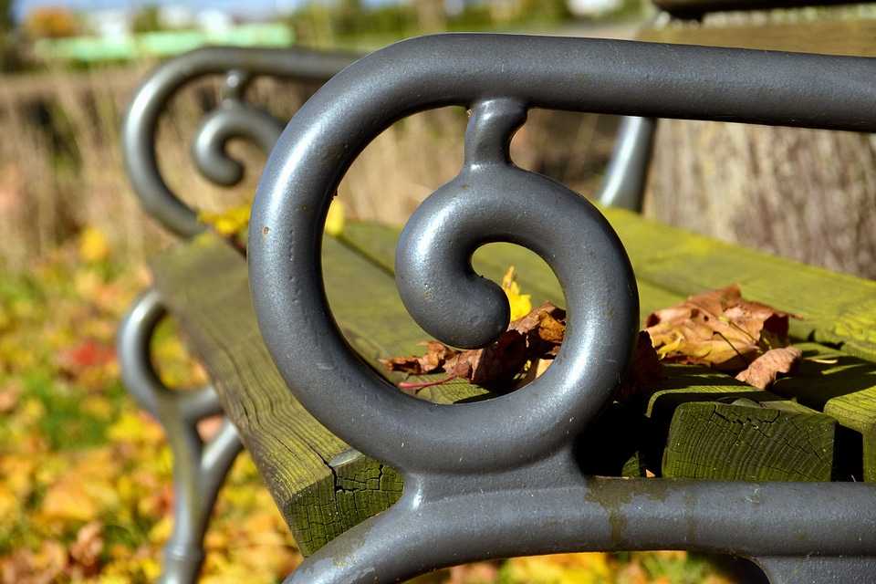 Autumn autumn season bench