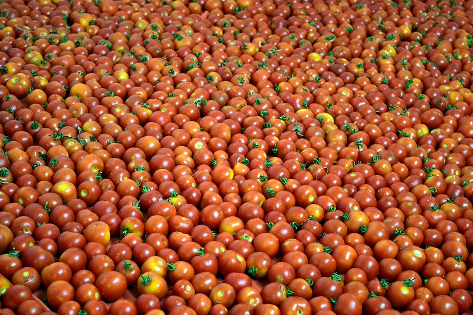 Agriculture biology calorie