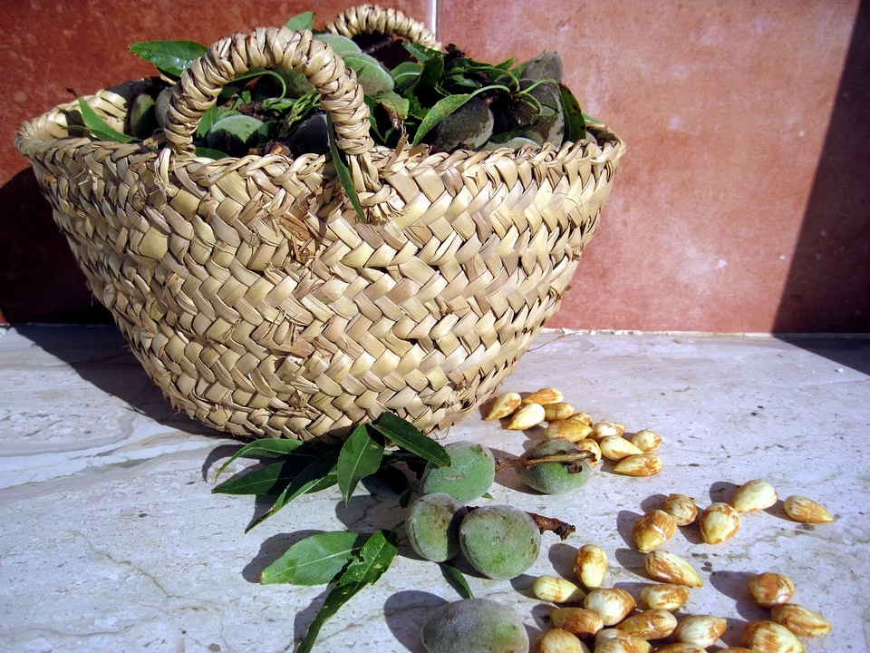 Basket beautiful photo diet