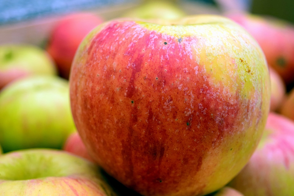 Apple beautiful photo calorie