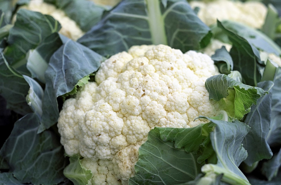 Calorie cauliflower delicious