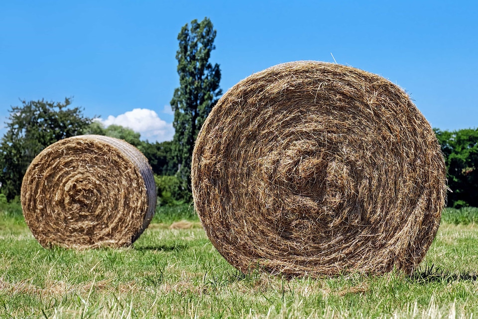 Agriculture blue sky countryside