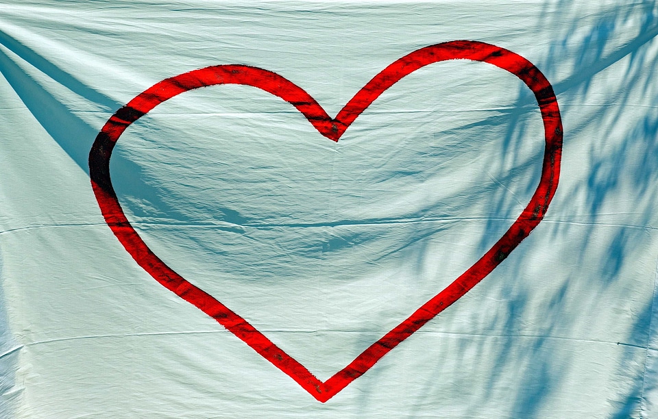 Beautiful Photo canvas heart