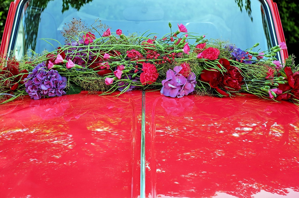 Automobile beautiful flowers beautiful photo