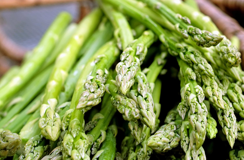 Asparagus calorie delicious