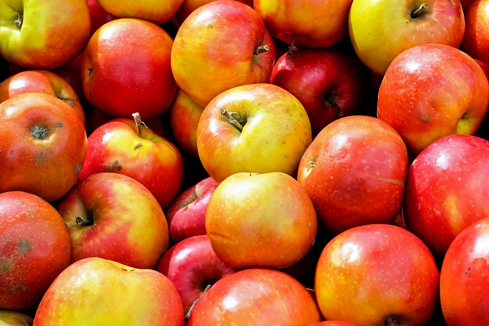Apple calorie delicious