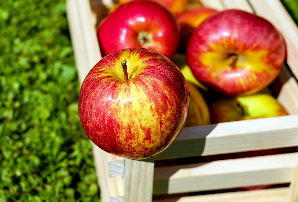 Apple apples beautiful photo